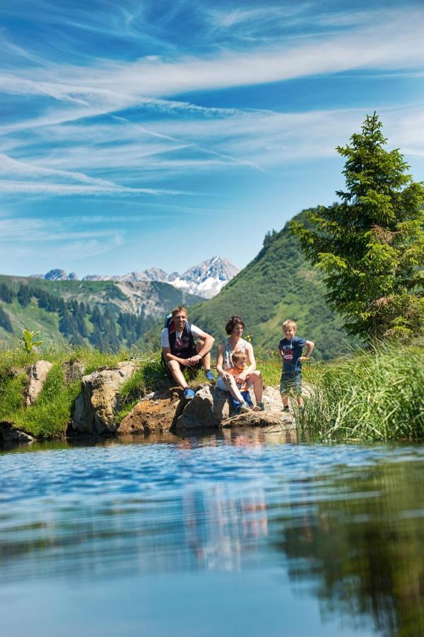 Adler Damuels Gasthof Hotel エクステリア 写真